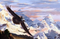 s01_size500_oots_tednasmith_bilboandeagles_detail1_500.webp